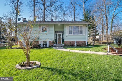 4105 Landgreen St, Rockville, MD 20853 - photo 3