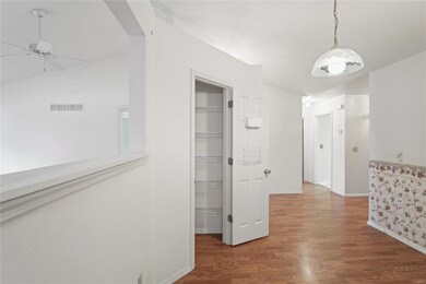Pantry Closet/Storage off Dining Room