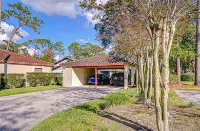 5444 Saddlebrook Way unit 4, Wesley Chapel, FL 33543 - photo 3