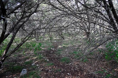 722 Cambridge Dr, New Braunfels, TX 78132 - photo 5