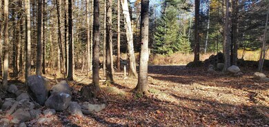 12 Bear Paw Trail unit 1-2, Littleton, NH 03561 - photo 6
