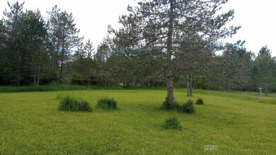 5403 Knights Way unit Lot 34 Knights Way, Butman Township, MI 48624 - photo 5