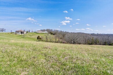 3-web-or-mls-HWJ02049