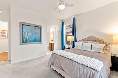 15669 W 95th Place, Arvada, CO 80007 - photo 6