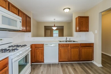 10902 Ivy Park, Houston, TX 77075 - photo 7