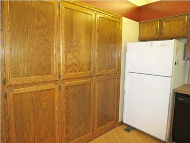 CHECK OUT THIS THE SIZE OF THIS PANTRY...NO LACK O