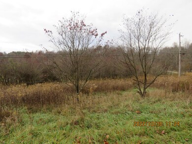 0 Blosser Rd, Logan, OH 43138 - photo 2