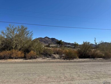 10468 S Ave 14 1 2 E, Yuma, AZ 85367 - photo 5