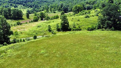 2.03 acre view2