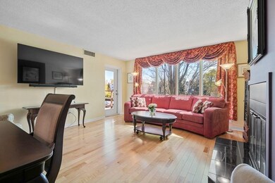 387 Place Ln, Woburn, MA 01801 - photo 3