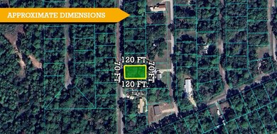 0 Oak Dr unit 25771672, Trinity, TX 75862 - photo 5