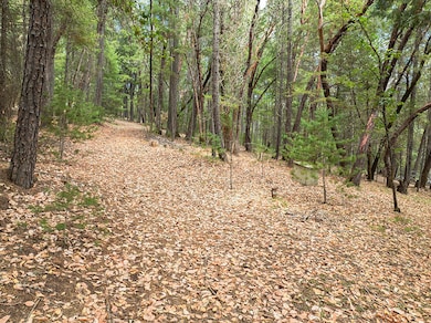 614 Thornbrook Dr, Merlin, OR 97532 - photo 5