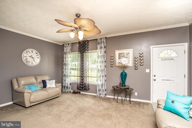 6133 Pryor Ave, King George, VA 22485 - photo 7