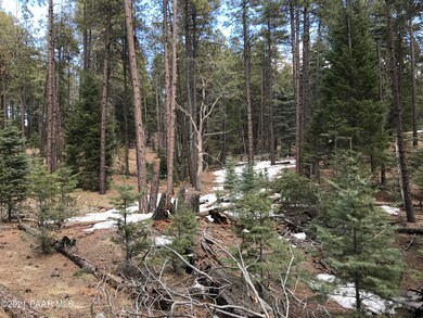 Lot 6