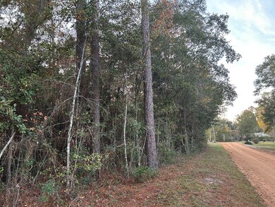 16,17,18 Paradise Cir, Donalsonville, GA 39845 - photo 4