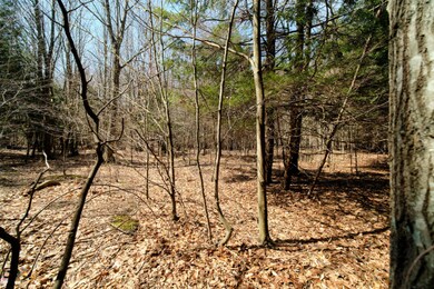 0 Opal Ridge Dr unit 21012894, Onekama, MI 49675 - photo 7