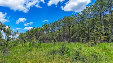 Cr 334, Salem, AL 36874 - photo 4