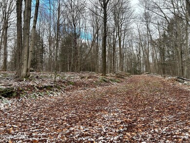 0 Wheelock Way unit PWBPW240052, Honesdale, PA 18431 - photo 5