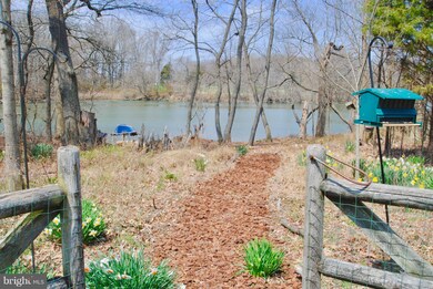 222 Harbor Ln, Queenstown, MD 21658 - photo 4