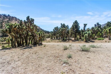 7759 Sand Canyon Rd, Pinon Hills, CA 92372 - photo 5