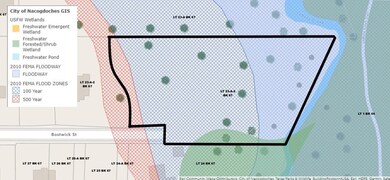 TBD Bostwick, Nacogdoches, TX 75965 - photo 5