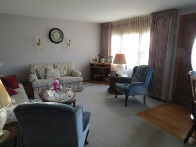 328 Amarillo Dr, Carpentersville, IL 60110 - photo 4