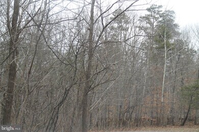 Lot 7 Carters Run Rd, Marshall, VA - photo 3