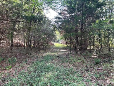 IMG_2535_resize