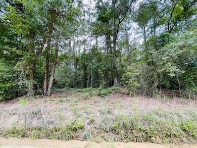Tract 5 Harold Tyson Rd, Tifton, GA 31794 - photo 2