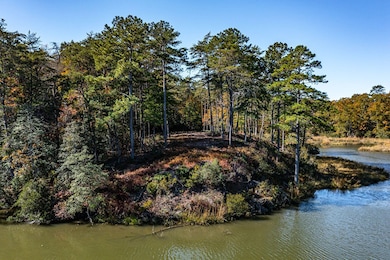 26 Bald Eagle Dr, Lancaster, VA 22503 - photo 2