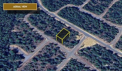 0 Malaluka Place unit 25508228, Chipley, FL 32428 - photo 6