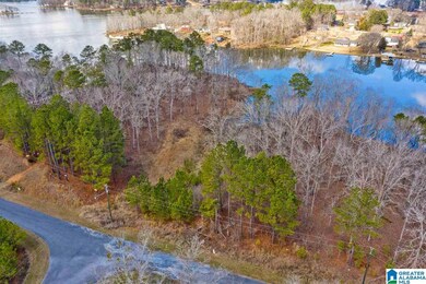 0 Castaway Rd unit Lot 101 1270975, Sylacauga, AL 35151 - photo 7
