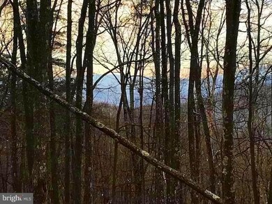 TR C - D Mattie Snyder Rd, Lost River, WV 26812 - photo 5