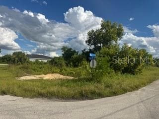 3913 14th St SW, Lehigh Acres, FL 33976 - photo 4