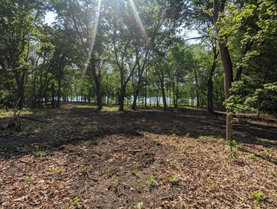 Lot 1 Honeysuckle Ln SW, Kensington, MN 56343 - photo 6