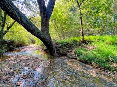 3746 Ledan Rd, Gainesville, GA 30506 - photo 6