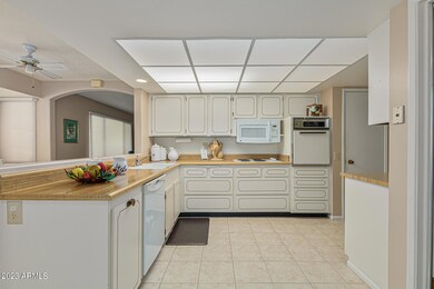 9863 W Spanish Moss Ct, Sun City, AZ 85373 - photo 3