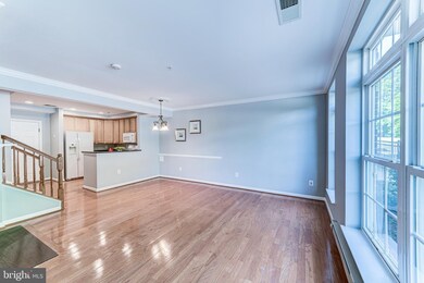 4569 Whittemore Place unit 1321, Fairfax, VA 22030 - photo 3