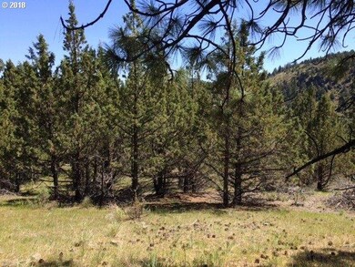 0 Adam Rd unit 18385791, Canyon City, OR 97820 - photo 4