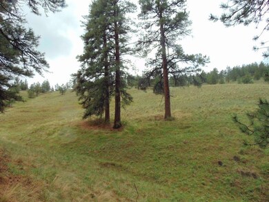 15 Shady Spring Ln, Cascade, MT 59421 - photo 4