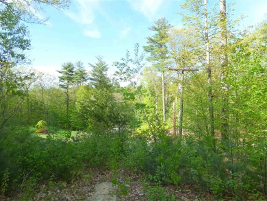 35 Cumberland Rd, Gilford, NH 03249 - photo 4