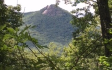 Additional View