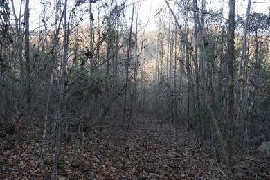 0 Bristol Hwy unit LotWP001, Bristol, VA 24202 - photo 4