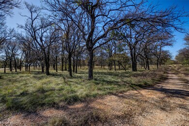 Lot 195 Grand Harbor Blvd, Chico, TX 76431 - photo 2