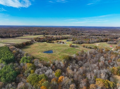 0 Ballowe Church Rd unit LotWP001, Vienna, IL 62995 - photo 3