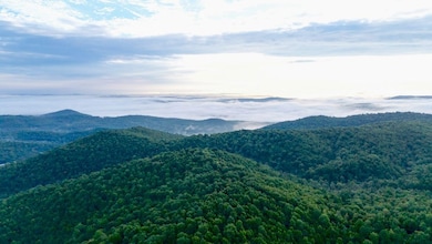 0000 County Road 6061, Flippin, AR 72634 - photo 2