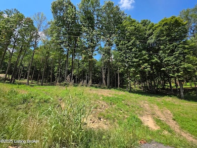 4 Cave Creek Rd, Falls of Rough, KY 40119 - photo 7