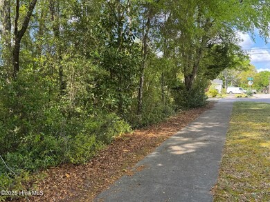 1006 Mcrae St, Wilmington, NC 28401 - photo 5