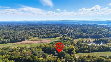 1310 Spring Place Rd, Rydal, GA 30171 - photo 4