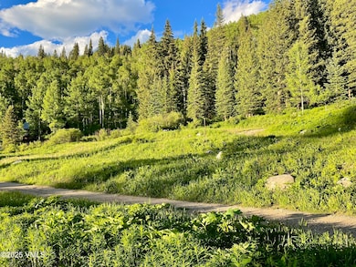 001 Street 8, Eagle, CO 81631 - photo 3